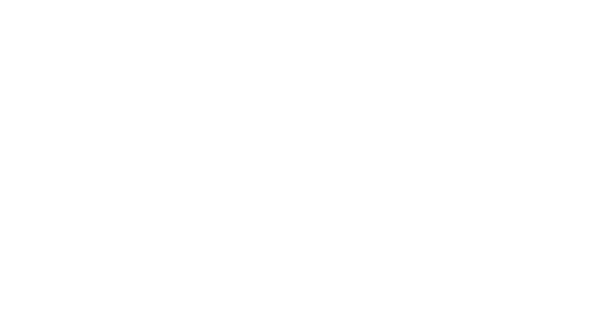 Verband Maritime Wirtschaft Deutschland
