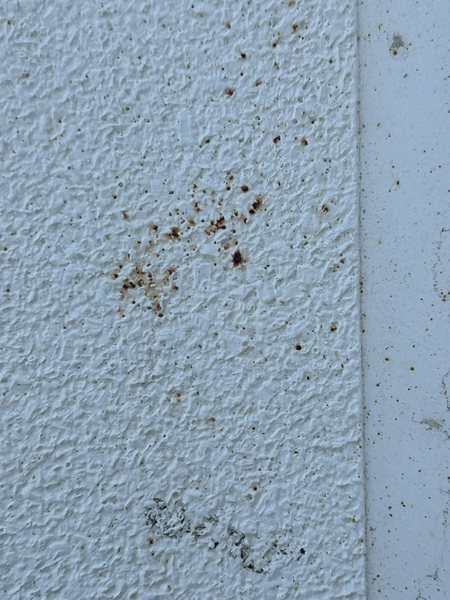 Rostpartikel im Gelcoat